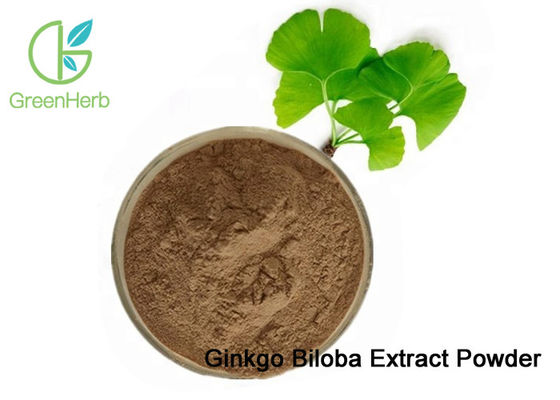 100% ธรรมชาติแปะก๊วย Biloba Leaf Extract ผง Dilate หลอดเลือด